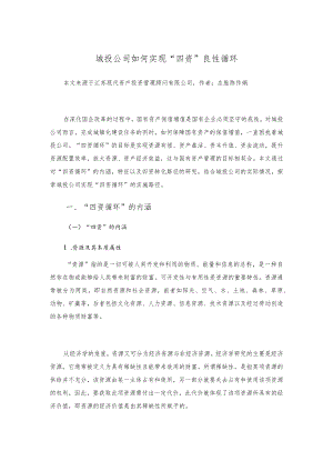 城投公司如何实现“四资”良性循环.docx