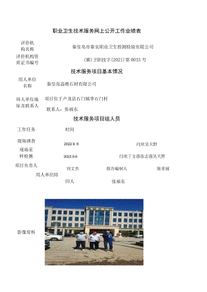 职业卫生技术服务网上公开工作业绩表.docx