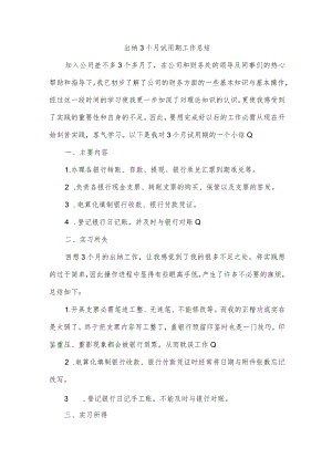 出纳3个月试用期工作总结.docx