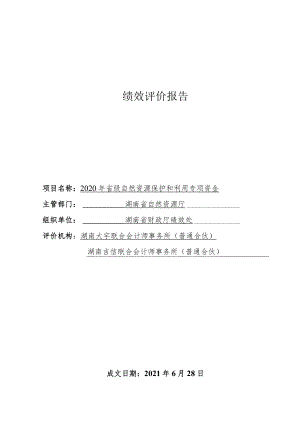 绩效评价报告.docx