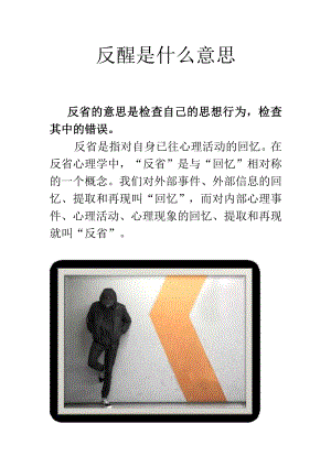 反醒是什么意思.docx