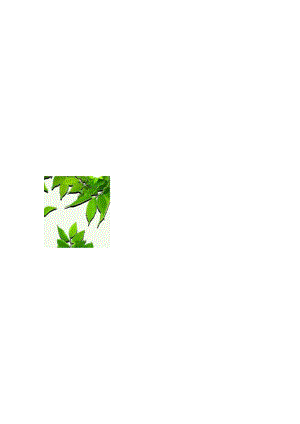 绿叶设计总监企业高档名片自定义Word模板.docx
