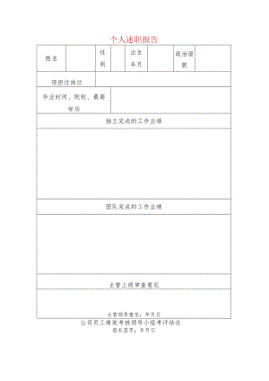 个人述职报告.docx
