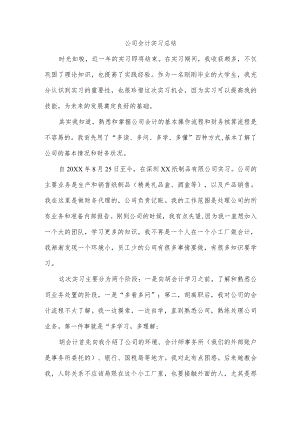 公司会计实习总结.docx