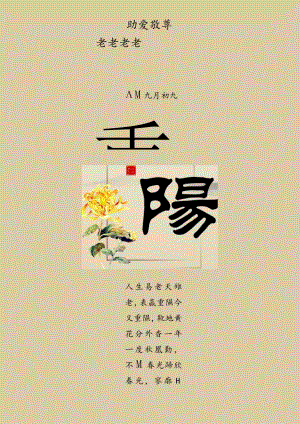 中国传统节日重阳节国风海报 菊花 远山 仙鹤.docx