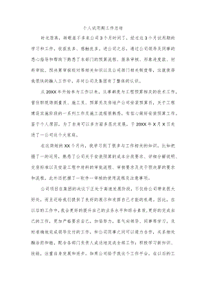 个人试用期工作总结.docx
