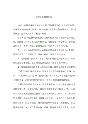 大学公务接待制度.docx