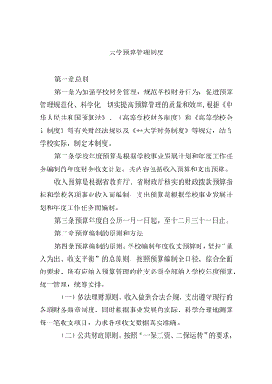 大学预算管理制度.docx