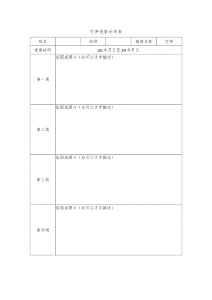 竹笋观察记录表.docx