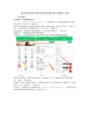 蓝宝星球预约申报信息技术服务费计费操作手册.docx