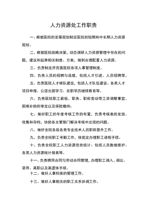 医院人力资源处工作职责.docx