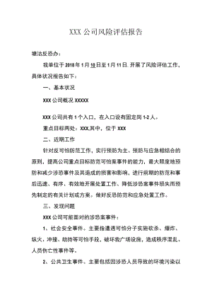 反恐风险评估报告.docx