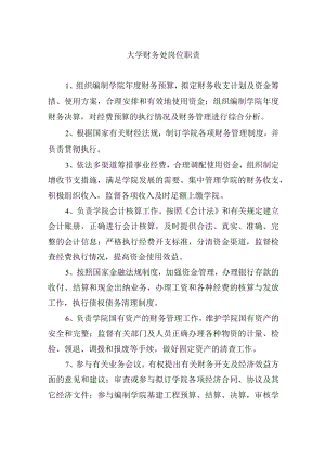 大学财务处岗位职责.docx