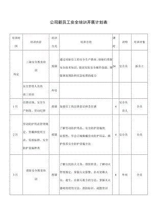 公司新员工安全培训开展计划表.docx
