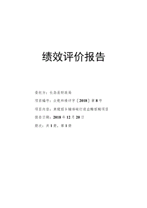 绩效评价报告.docx