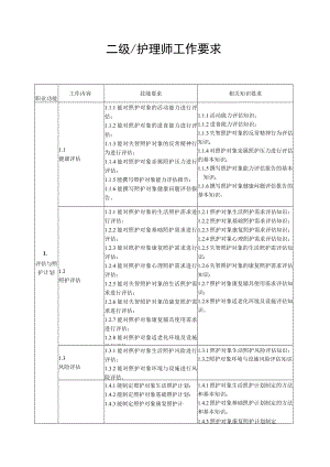 二级-护理师工作要求.docx