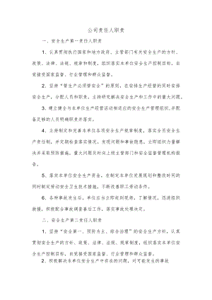 公司责任人职责.docx