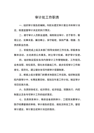 医院审计处工作职责.docx