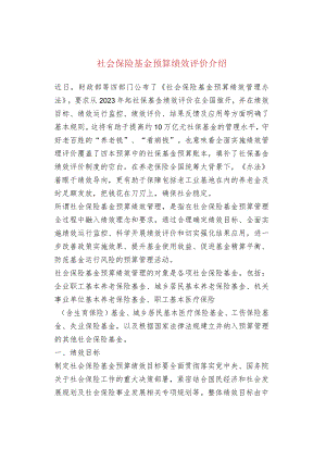 社会保险基金预算绩效评价介绍.docx