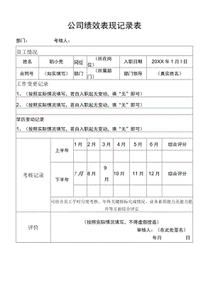 公司绩效表现记录表.docx