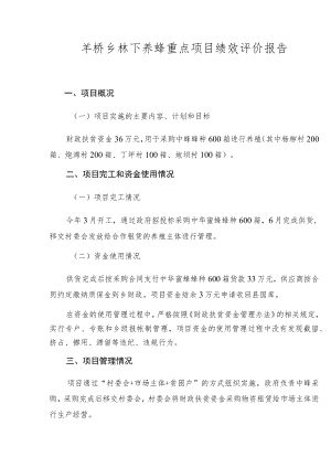 羊桥乡林下养蜂重点项目绩效评价报告.docx