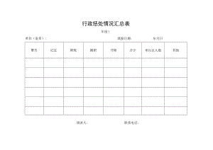 行政惩处情况汇总表.docx