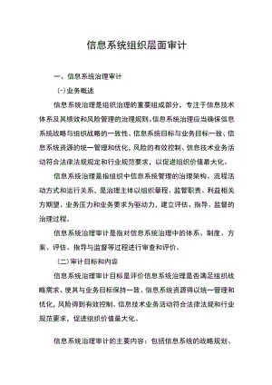 信息系统组织层面审计.docx