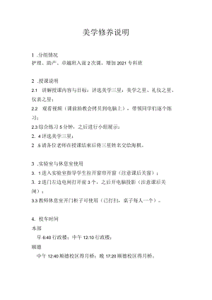 美学修养说明.docx