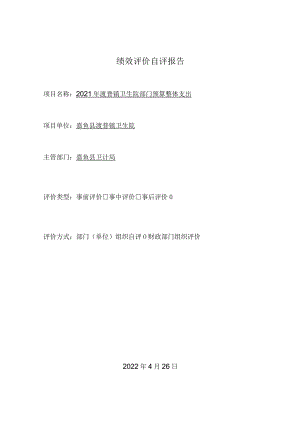 绩效评价自评报告.docx