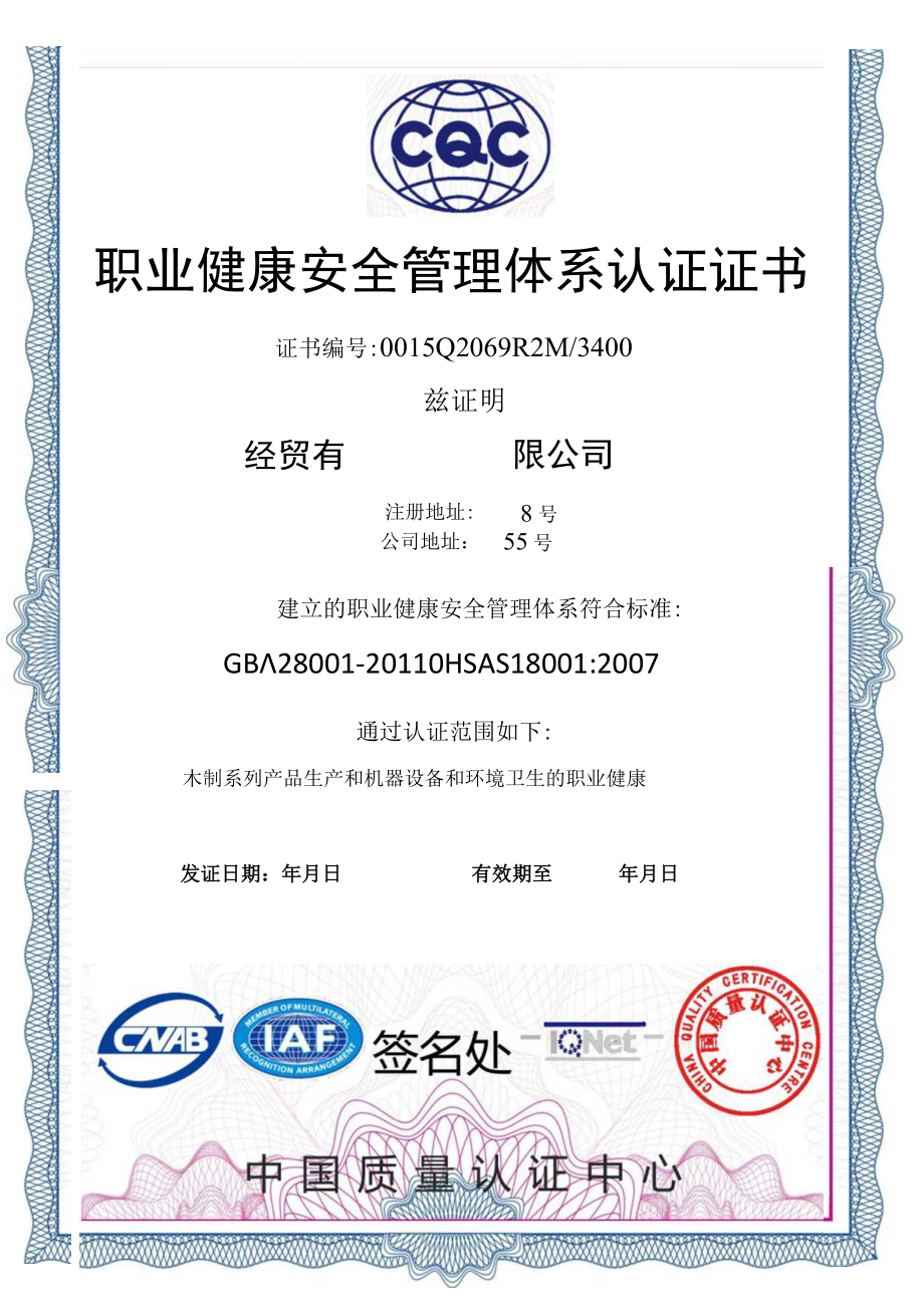 竖版蓝色边框经贸公司职业健康安全管理体系认证证书单页word模板.docx_第1页