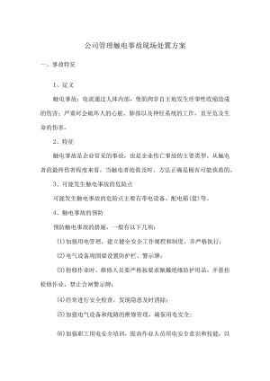 公司管理触电事故现场处置方案.docx