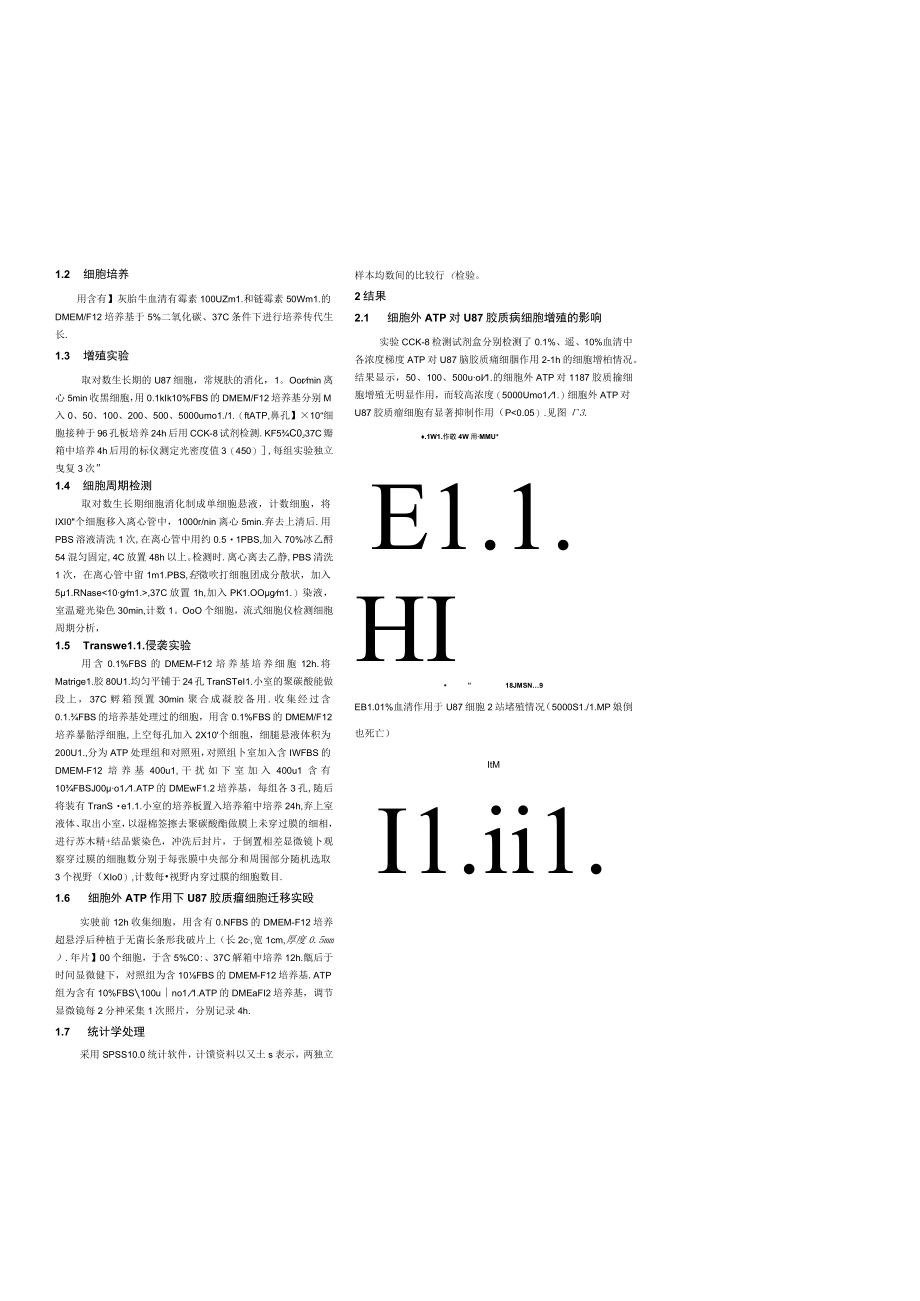 细胞外ATP对U87胶质瘤细胞生长和侵袭的作用研究.docx_第2页