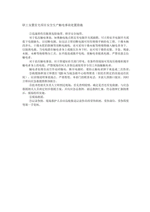 职工安置住宅项目安全生产触电事故处置措施.docx
