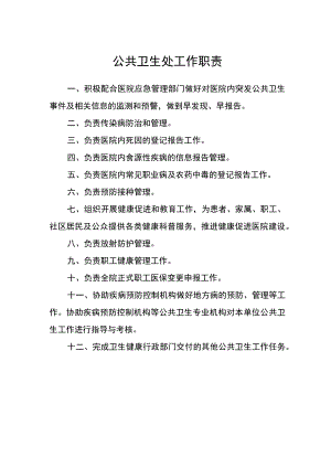 医院公共卫生处工作职责.docx