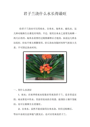 君子兰浇什么水长得最旺.docx