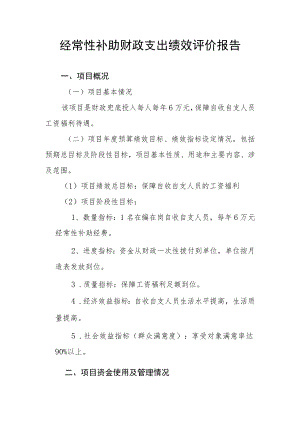 经常性补助财政支出绩效评价报告.docx