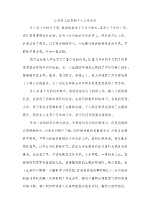 公司员工试用期个人工作总结.docx