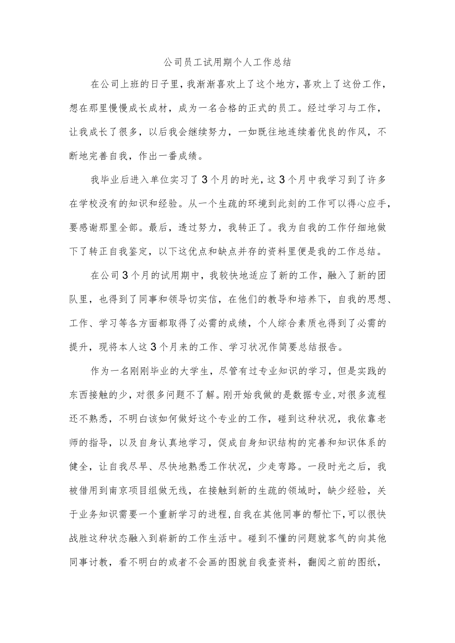 公司员工试用期个人工作总结.docx_第1页