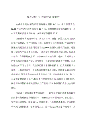 菊花项目支出绩效评价报告.docx