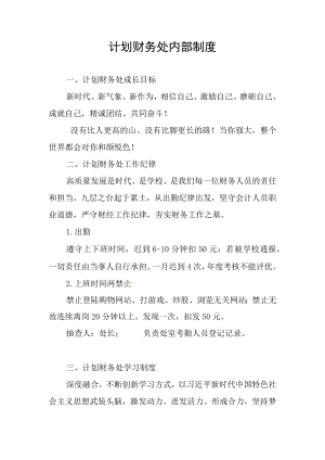 计划财务处内部制度.docx