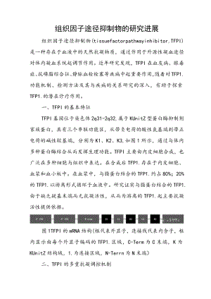 组织因子途径抑制物的研究进展.docx