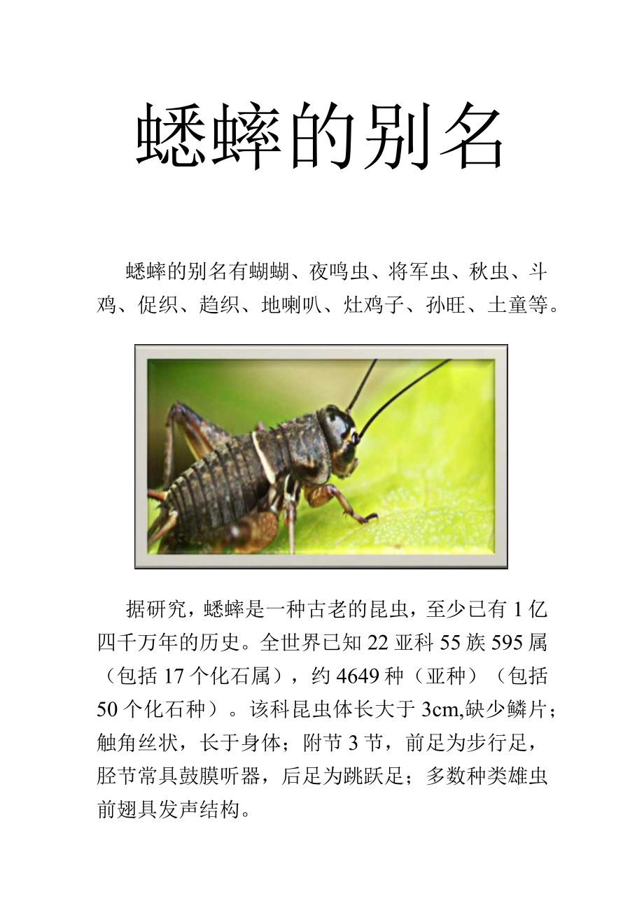 蟋蟀的别名.docx_第1页
