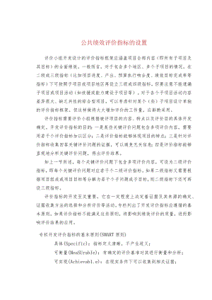 公共绩效评价指标的设置.docx