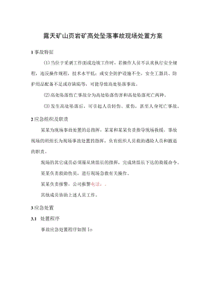 露天矿山页岩矿高处坠落事故现场处置方案.docx