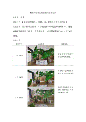 酸雨对绿萝的危害模拟实验记录.docx