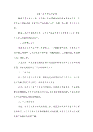 销售人员月度工作计划.docx