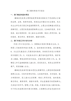 部门整体绩效评价报告.docx