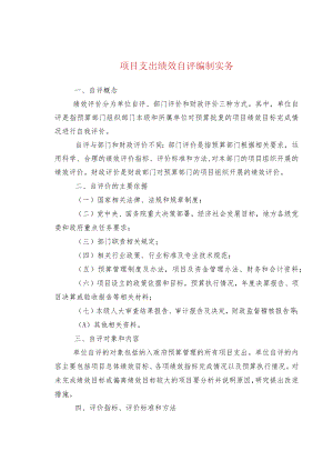 项目支出绩效自评编制实务.docx