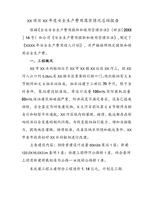 项目年度安全生产费用落实情况总结报告.docx