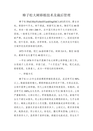 樟子松大树移植技术及栽后管理.docx